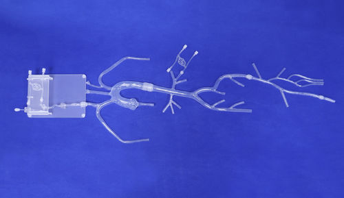 Modelo vascular de vasos sanguíneos - FA007D - Trando 3D Medical Technology - de artéria femoral / de corpo inteiro / para cirurgia minimamente invasiva