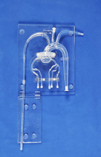 Modelo anatômico das artérias coronárias - XX008D - Trando 3D Medical Technology - para cirurgia minimamente invasiva / para treinamento / transparente