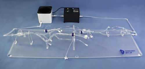 Modelo de artéria - XZJ003 - Trando 3D Medical Technology - de veia cava / de veia / de membro inferior