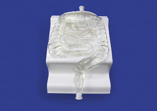 Modelo vascular de vasos sanguíneos - CM001 - Trando 3D Medical Technology - para treinamento / transparente / flexível