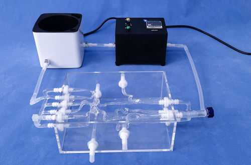 Modelo vascular de vasos sanguíneos - SJK002D - Trando 3D Medical Technology - de artéria / intracraniano / de nervo