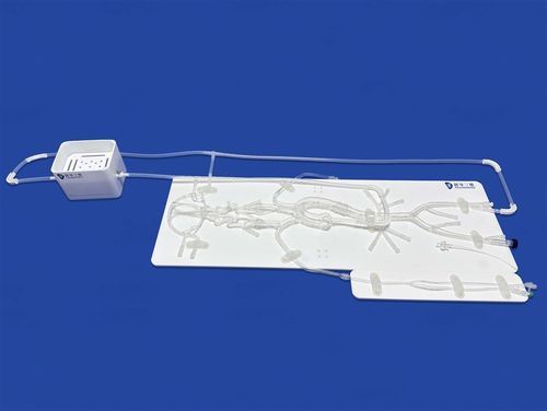 Modelo vascular intracraniano - SJ001D-E - Trando 3D Medical Technology - abdominal / de artéria femoral / de artéria cerebral