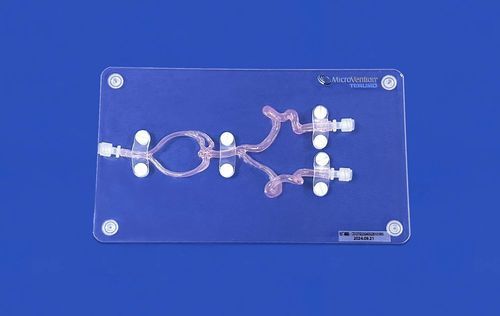 Modelo vascular cerebral - SJX005D - Trando 3D Medical Technology - intracraniano / de vasos sanguíneos / para neurocirurgia