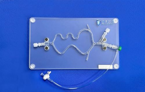 Modelo vascular de sistema nervoso - SJV015 - Trando 3D Medical Technology - de cérebro / cerebral / intracraniano