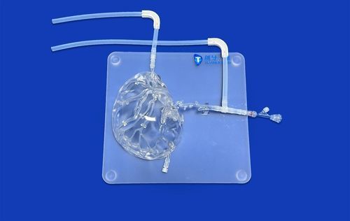 Modelo vascular de cérebro - SJV003 - Trando 3D Medical Technology - cerebral / de crânio / intracraniano