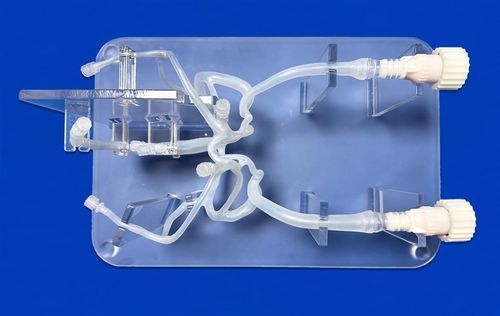 Modelo vascular de sistema nervoso - SJV007 - Trando 3D Medical Technology - de cérebro / cerebral / intracraniano