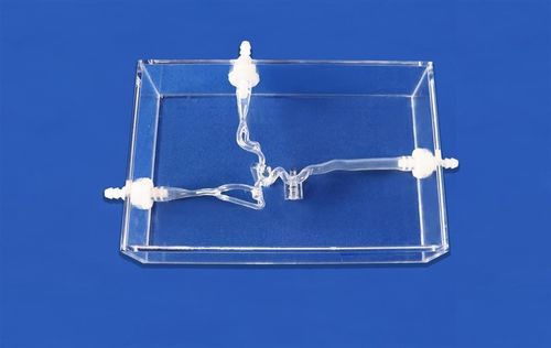 Modelo vascular de cérebro - SJV005 - Trando 3D Medical Technology - cerebral / intracraniano / de artéria