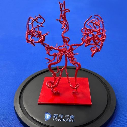 Modelo vascular cerebral - YZ002 - Trando 3D Medical Technology - para treinamento / transparente / flexível