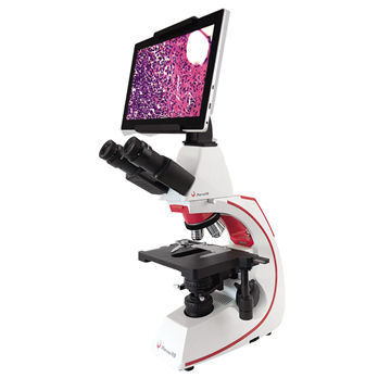 Microscópio óptico - BMC500 series - Phenix Optics Co., Ltd. - digital / de laboratório / biológico