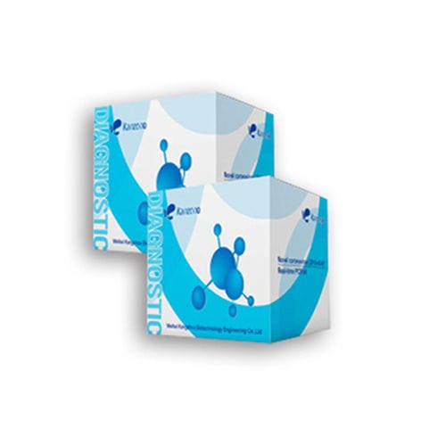 Kit de teste de COVID-19 - Weihai Kangzhou Biotechnology Engineering - para qPCR / por fluorescência