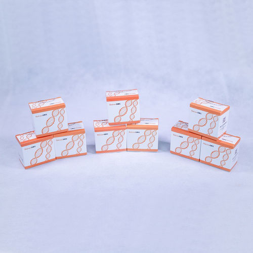 Kit de reagentes em solução - Baicare - para PCR em tempo real / para RT-PCR / para RT-qPCR
