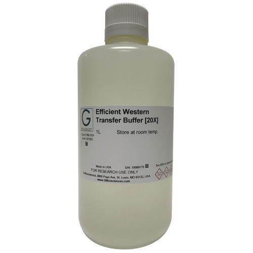 Solução tampão - Efficient™ Western - G-BIOSCIENCES - em solução / para pesquisa / de proteínas