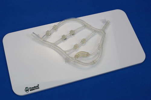 Modelo vascular de vasos sanguíneos - PLXG1014 - Shanghai Preclinic Medtech - para cirurgia cardíaca