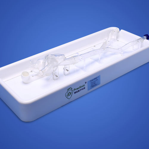 Modelo de coração - PLXG1012 - Shanghai Preclinic Medtech - de veia cava / de veia ilíaca / auricular