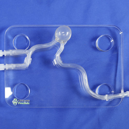 Modelo vascular de artéria carótida - PLXG2003 - Shanghai Preclinic Medtech - para cirurgia minimamente invasiva / para neurologia / para treinamento