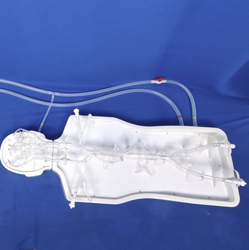 Modelo anatômico intracraniano - PLSJXG001A - Shanghai Preclinic Medtech - de artéria / de aorta torácica / cerebral