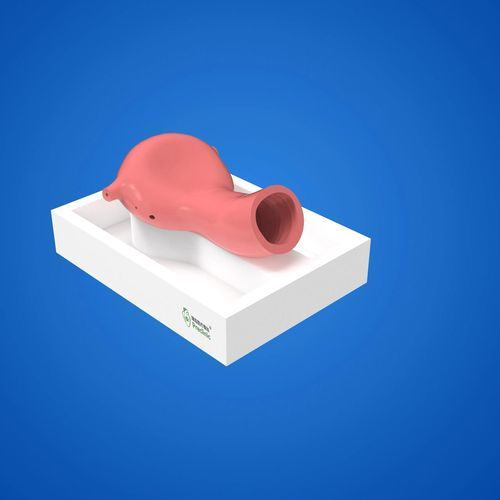 Modelo anatômico de ureter - PLGQNJ002 - Shanghai Preclinic Medtech - de sistema reprodutor feminino / de vagina / de útero