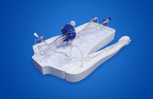 Modelo vascular de artéria femoral - PLXZXG003A - Shanghai Preclinic Medtech - das artérias coronárias / de artéria subclávia / de artéria radial