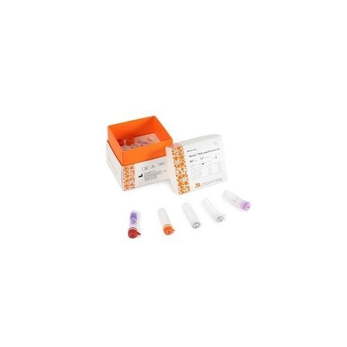 Kit de reagentes em solução - Mmiso® - M Monitor Inc. - para amplificação de DNA
