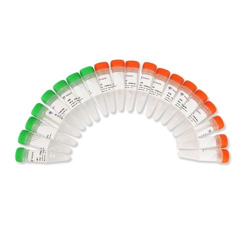 Kit de reagentes em solução - TruePrepTM - Nanjing Vazyme Medical Technology Co.,Ltd - para sequenciamento de DNA