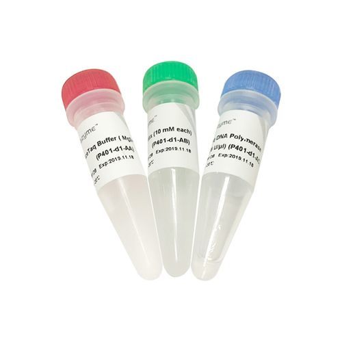 Kit de reagentes DNA polimerase - AceTaq® - Nanjing Vazyme Medical Technology Co.,Ltd - Taq polimerase / para preparação de amostras