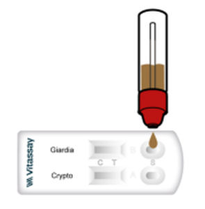 Teste rápido de diarreia - VITASSAY HEALTHCARE S.L. - de giardíase / de antígeno / de Cryptosporidium