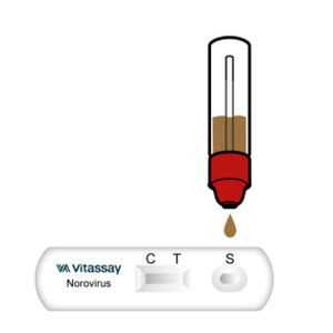 Teste rápido de norovírus - VITASSAY HEALTHCARE S.L. - para doenças infecciosas / de antígeno / clínico