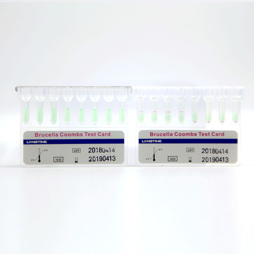 Kit de teste para doenças infecciosas - Hubei Longtime Biological Technology Co., Ltd. - de Brucella / de soro / cassete