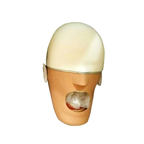 Modelo anatômico do rosto -  UM-F01 - Tangshan UMG Medical Instrument - odontológico / para ensino / de drenagem