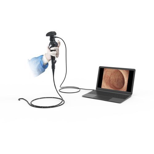 Broncoscópio veterinário com sistema de vídeo - EU-120 - Beijing iTrason Technologies - para animais de pequeno porte / para animais de grande porte / para cães