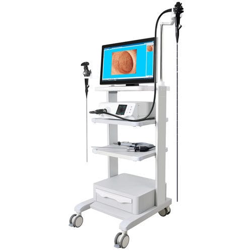 Broncoscópio veterinário com sistema de vídeo - GU - Beijing iTrason Technologies - para animais de pequeno porte / para animais de grande porte / para cães