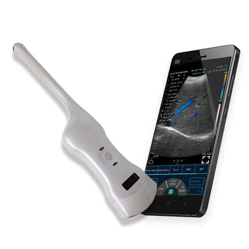 Aparelho de ultrassom de bolso - C10RT - Beijing iTrason Technologies - endovaginal / transretal / em preto e branco
