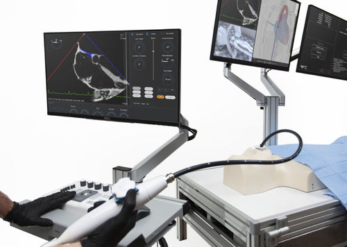Simulador de punção - Trinity - Medical Simulation Technologies - para treinamento / de anatomia / estação de trabalho