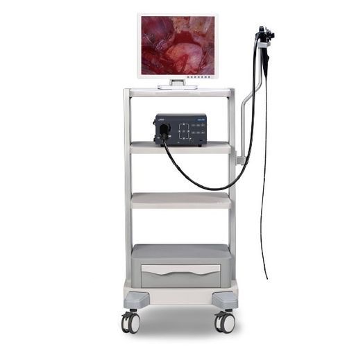 Broncoscópio veterinário com sistema de vídeo - Vetina ES3 - Shenzhen Mindray Animal Medical Technology Co., Ltd. - para animais de pequeno porte / para animais de grande porte / com canal de trabalho