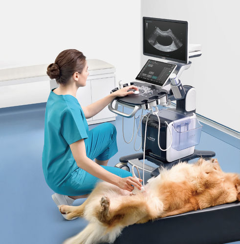 Ultrassom veterinário com carrinho - Vetus 50 - Shenzhen Mindray Animal Medical Technology Co., Ltd. - multiuso / para cães / para felinos