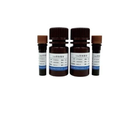 Reagente tipo microesferas - 67500001 - VDO Biotech - para imunoensaio / líquido