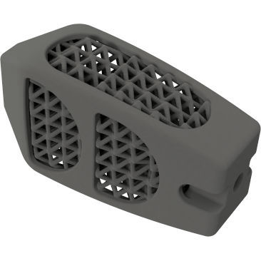 Espaçador intervertebral lombar - BMD PLIF ® - Global Biomedica - via posterior / em titânio