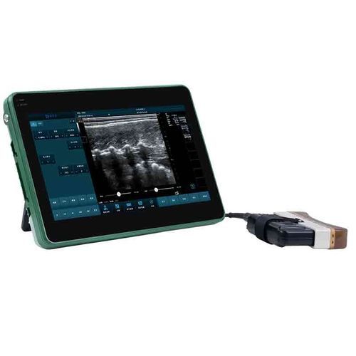 Medidor de gordura dorsal para bovinos - BXL-DZ20 - Zhengzhou Boxianglai Electronic Sci-tech Co.,Ltd - para ovinos / para gatos / para cães