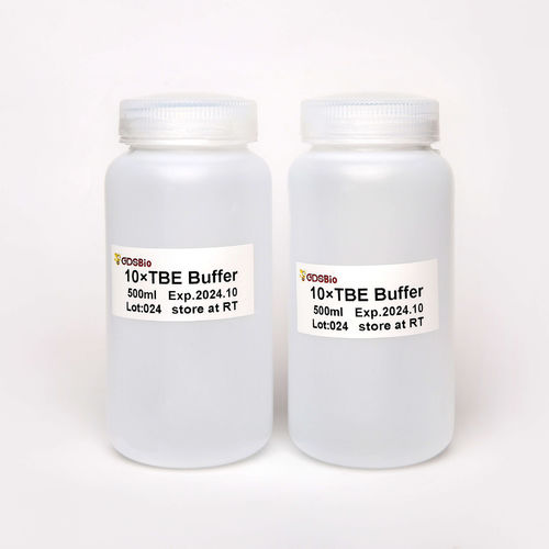 Solução tampão - TBE  - Guangzhou Dongsheng Biotech Co., Ltd. - para eletroforese / líquido / de pH