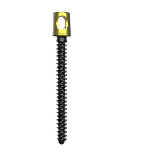 Parafuso pedicular para vértebra de transição lombossacra - Wuxi Betta Medical Technology - poliaxial / metálico
