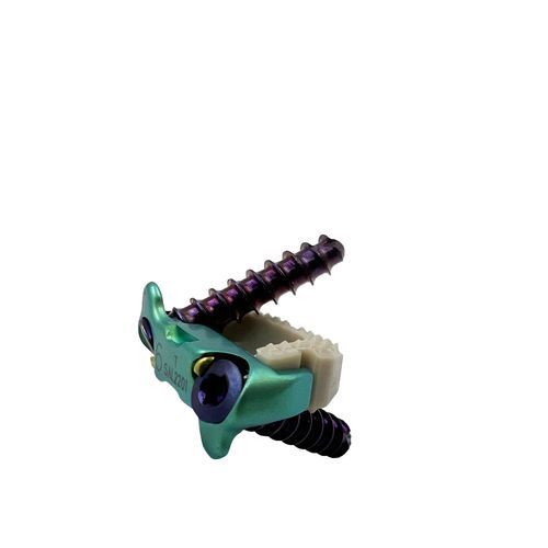 Espaçador intervertebral cervical - Zero-Profile - Chongqing FWS Medical Device - via anterior / em titânio
