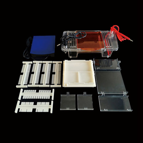 Sistema de eletroforese de proteínas - SVL-2 - Servicebio - para DNA / automático / de bancada