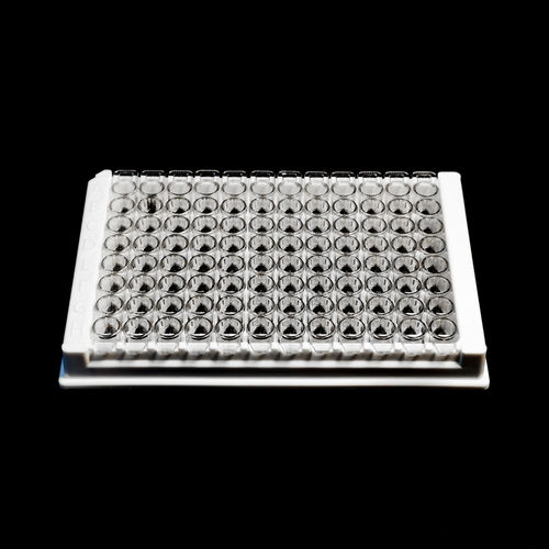 Microplaca ELISA - ESP-96-D - Servicebio - para laboratório / com 96 poços / descartável