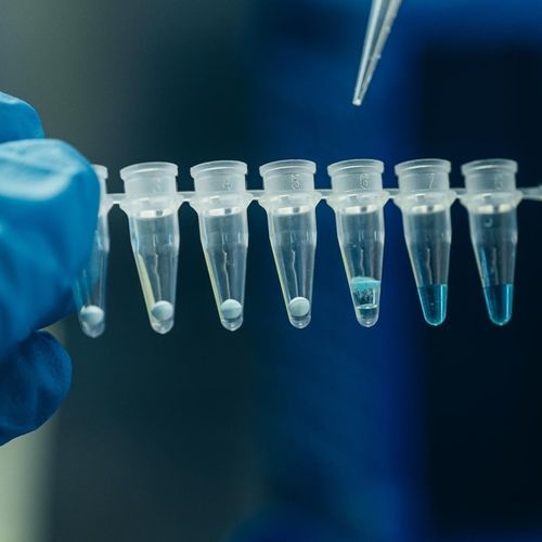 Reagente transcriptase reversa - Applyo Jena GmbH - de esferas magnéticas / para RT-qPCR / liofilizado