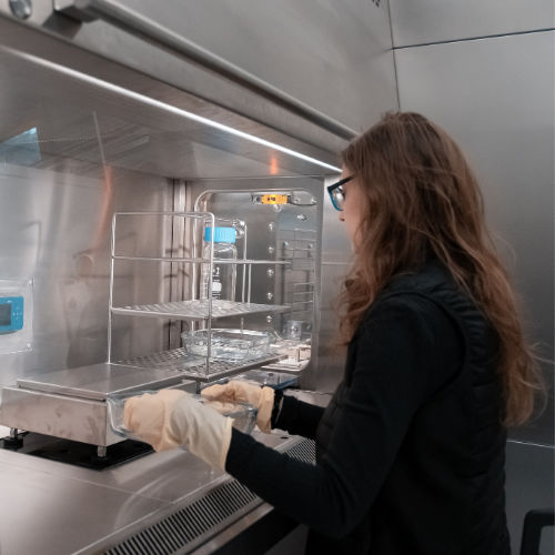 Cabine de segurança biológica classe II - BSC - EREA - para a indústria farmacêutica / de piso / EN 12469