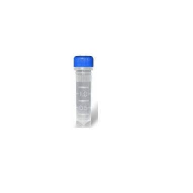 Reagente em solução - YST0011 series - Guilin Yourui Biotechnology Co., Ltd - Taq polimerase / transcriptase reversa / clínico