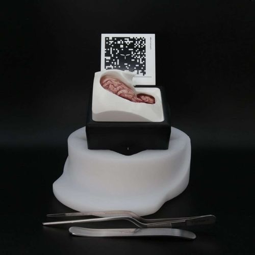 Simulador de craniotomia - FluorescentBox - UpSurgeOn - cirúrgico / em kit / de realidade aumentada