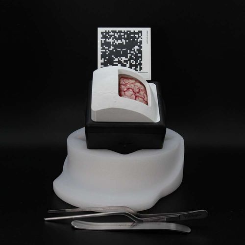 Simulador para treinamento - BrainTumorBox - UpSurgeOn - para cuidados gerais de saúde / de anatomia