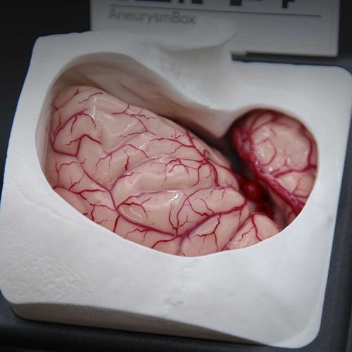 Simulador para treinamento - AneurysmBox - UpSurgeOn - de craniotomia / para cuidados gerais de saúde / cirúrgico