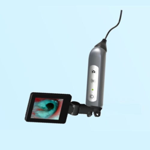 Otoscópio veterinário com sistema de vídeo - JZVet-EX02 - JZ Biotech - para animais de pequeno porte / para animais de grande porte / para animais de estimação